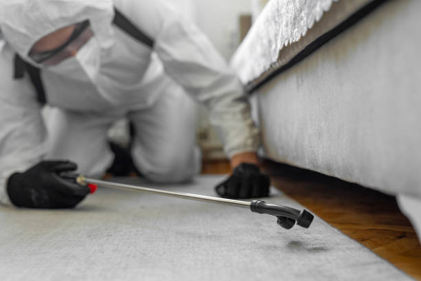 Professional Ant Control technician working in Pistakee Highlands, IL